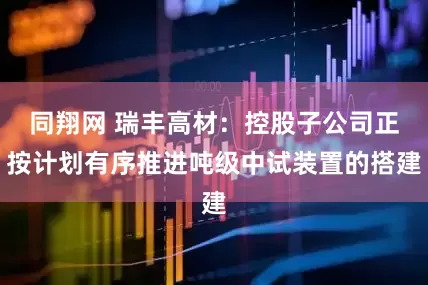 同翔网 瑞丰高材：控股子公司正按计划有序推进吨级中试装置的搭建