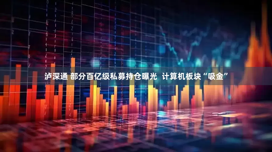 泸深通 部分百亿级私募持仓曝光  计算机板块“吸金”
