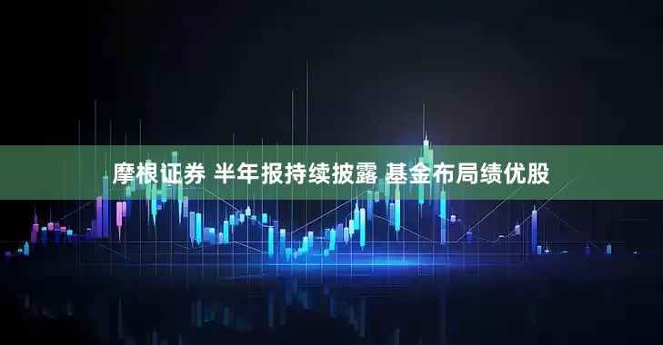 摩根证券 半年报持续披露 基金布局绩优股